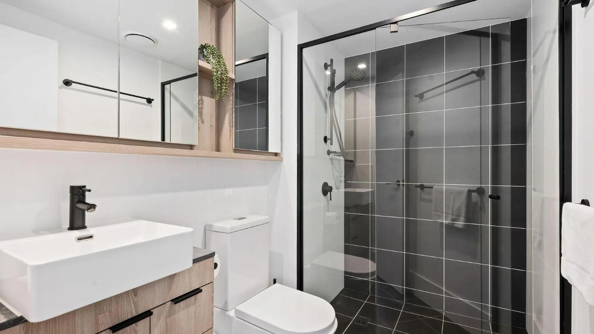 Apartment Queen Windsor Brisbane Australia